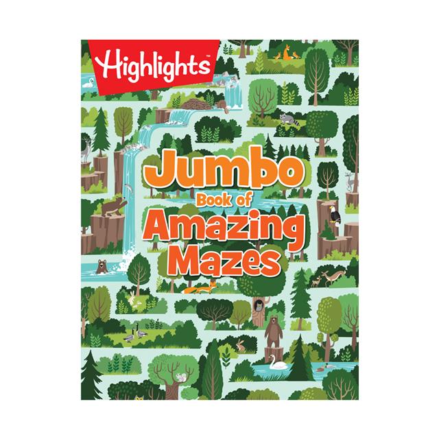 amazing maze book