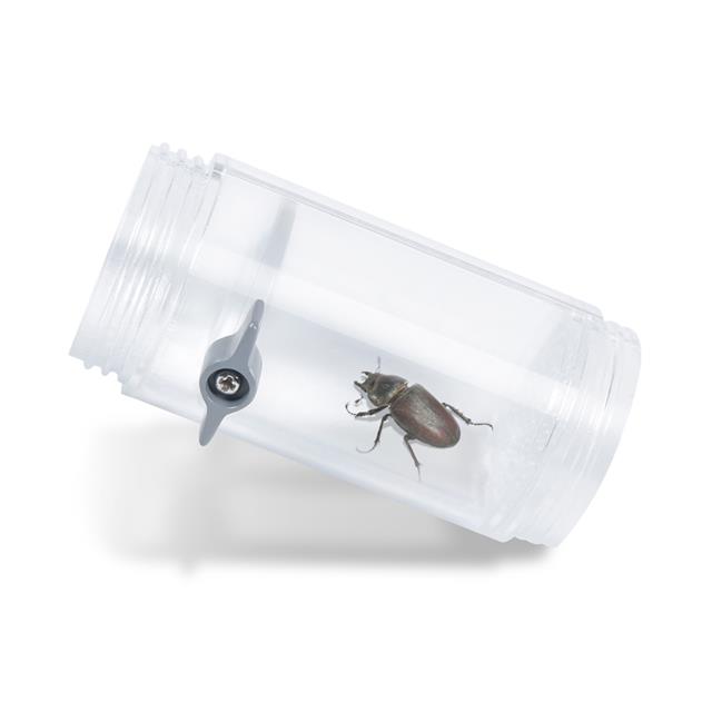 insect vacuum toy