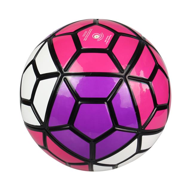 Official Size 5 Soccer Ball - Pink