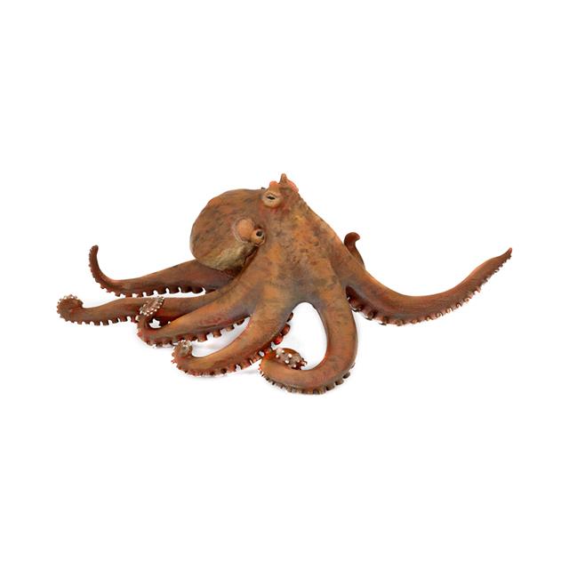 Papo Octopus