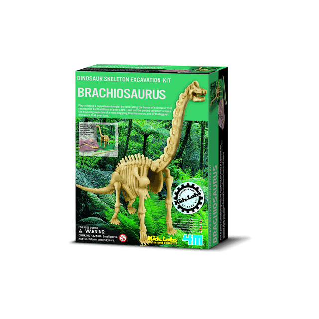 4m dinosaur excavation kit